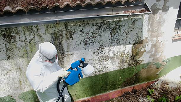 Top rated local Commercial Mold Remediation specialists in Upperstrasburg, PA
